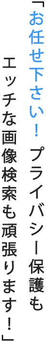 「お任せ下さい！　プライバシー保護もエッチな画像検索も頑張ります！」