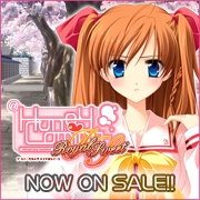 HOOKSOFT֡HoneyComing RoyalSweetףǯȯ䡪