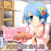 HOOKSOFT֡HoneyComing RoyalSweetףǯȯ䡪