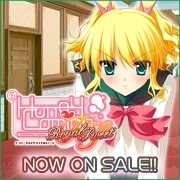 HOOKSOFT֡HoneyComing RoyalSweetףǯȯ䡪