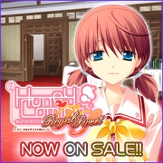 HOOKSOFT֡HoneyComing RoyalSweetףǯȯ䡪