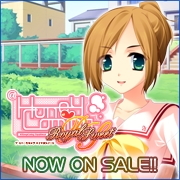 HOOKSOFT֡HoneyComing RoyalSweetףǯȯ䡪