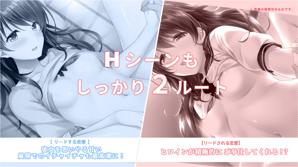 Hシーンもしっかり〈する〉〈される〉で2種類味わえます!