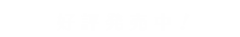 11.29発売予定