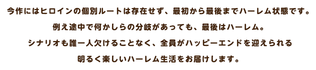 ヒロインの個別ルートは存在せず、今作は最初から最後までハーレム状態です。例え途中から最後まで分岐があっても、最後はハーレムシナリオも誰ひとり欠けることなく、全員がハッピーエンドを迎えられる明るく楽しいハーレム生活をお届けします。