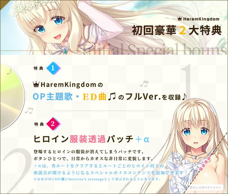 特典１:HaremKingdomの主題歌・ＥＤ曲のフルVer.が収録！ 特典２ヒロイン服装透過パッチ＋α…