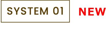 system01