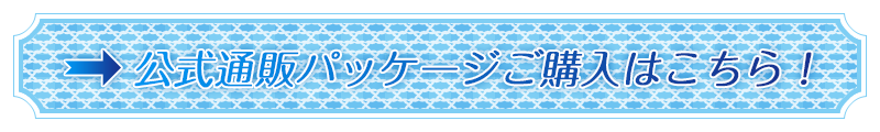 公式通販にてパッケージ版販売中です