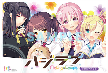 パッケージイメージ